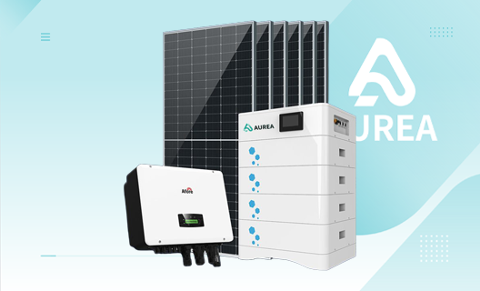 Dual Inverter System